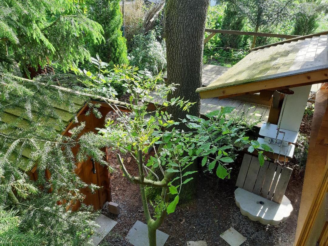 Baumhaus Wolfshoehle Fischach Eksteriør billede
